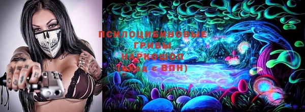 ешки Алзамай
