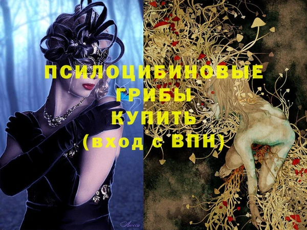 ешки Алзамай