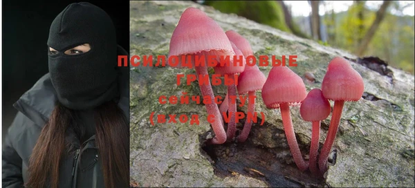 СК Алексеевка