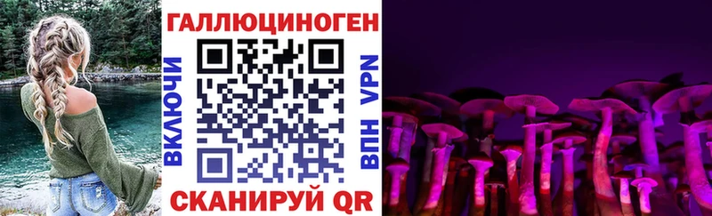 Галлюциногенные грибы Cubensis  omg ССЫЛКА  Щигры 
